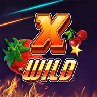 X-Wild игра