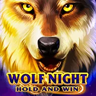 Wolf Night игра