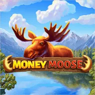 Money Moose игра