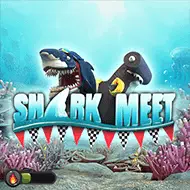 Shark Meet игра