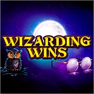 Wizarding Wins игра