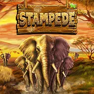 Stampede игра
