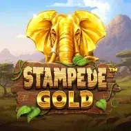 Stampede Gold игра