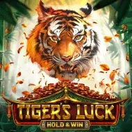 Tiger's Luck - Hold & Win игра