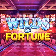 Wilds Of Fortune игра