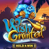 Wish Granted игра