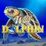 Wild Dolphin игра