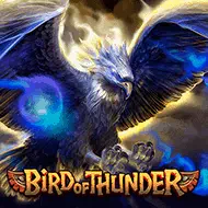 Bird of Thunder игра