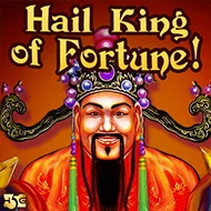 Hail King of Fortune игра