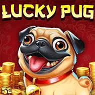Lucky Pug игра