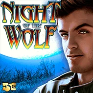 Night of the Wolf игра