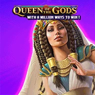 Queen of the Gods игра
