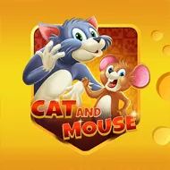 Cat and Mouse игра