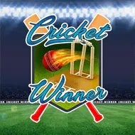 Cricket Winner игра