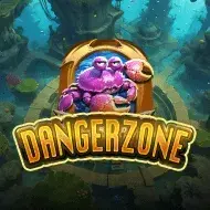 Danger Zone игра