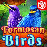 Formosan Birds игра