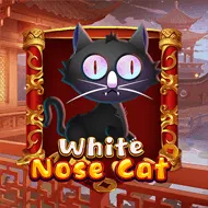 White Nose Cat игра