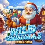 Wild Christmas игра