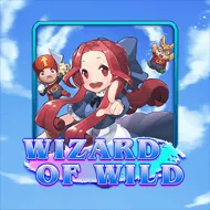 Wizard of Wild игра