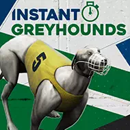 Instant Virtual Greyhounds игра