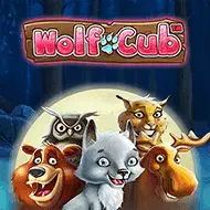 Wolf Cub Bild