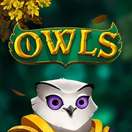 Owls игра