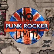 Punk Rocker игра