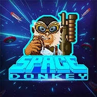 Space Donkey игра