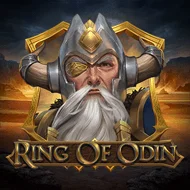 Ring of Odin игра