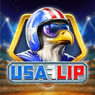 USA Flip игра