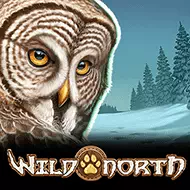 Wild North игра