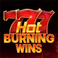 Hot Burning Wins игра