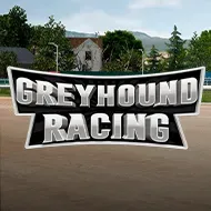 Greyhound Racing игра