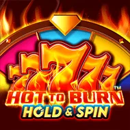 Hot to Burn Hold and Spin игра