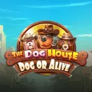 The Dog House - Dog or Alive игра