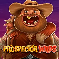 Prospector Wilds игра