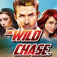 The Wild Chase игра