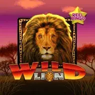 Wild Lion Reel Bingo игра