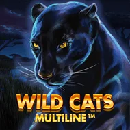 Wild Cats Multiline Bild