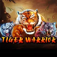 Tiger Warrior игра