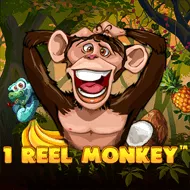 1 Reel Monkey image