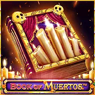 Book Of Muertos resim
