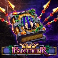Book Of Panther игра