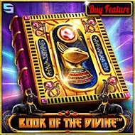 Book Of The Divine Bild