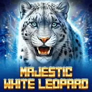Majestic White Leopard Bild