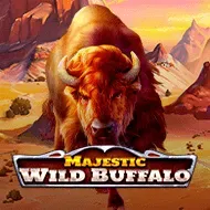 Majestic Wild Buffalo Bild