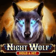 Night Wolf - Hold & Hit image