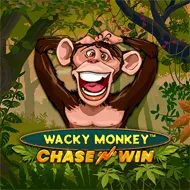 Wacky Monkey - Chase'N'Win Bild