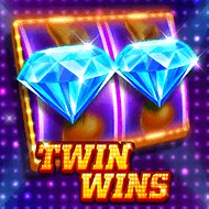 Twin Wins игра