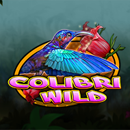 Colibri Wild Bild